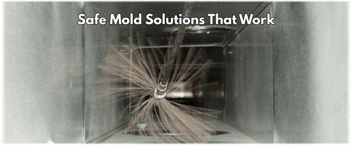 Air Duct Mold Removal in Agoura Hills CA