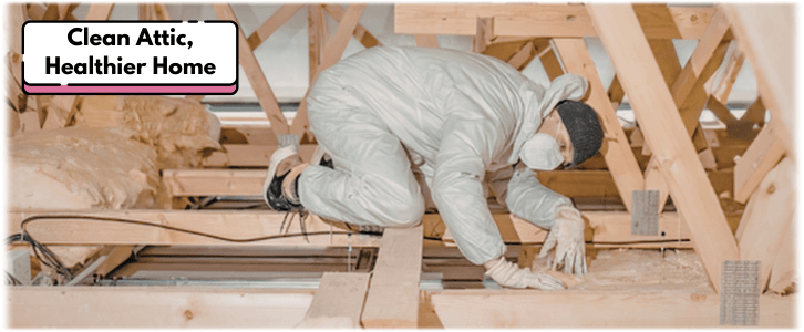 Attic Cleaning Agoura Hills CA