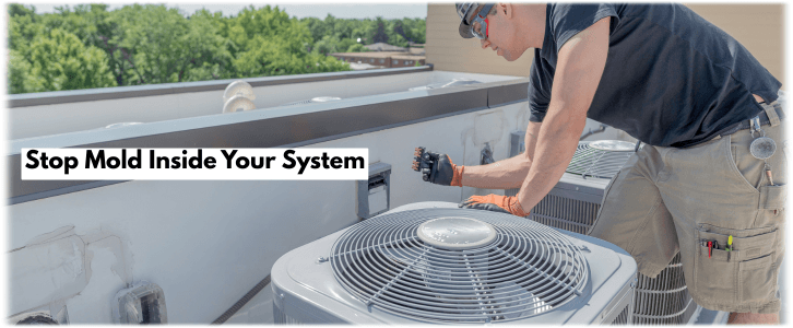 HVAC Mold Removal Agoura Hills CA